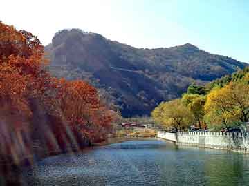 管家婆黑白马报图库，锁架